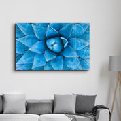 Azure Agave | Glass Wall Art - Artdesigna