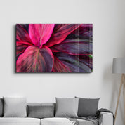 Pink Leaves | Glass Wall Art - Artdesigna