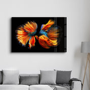 Beta Fishes | Glass Wall Art - Artdesigna