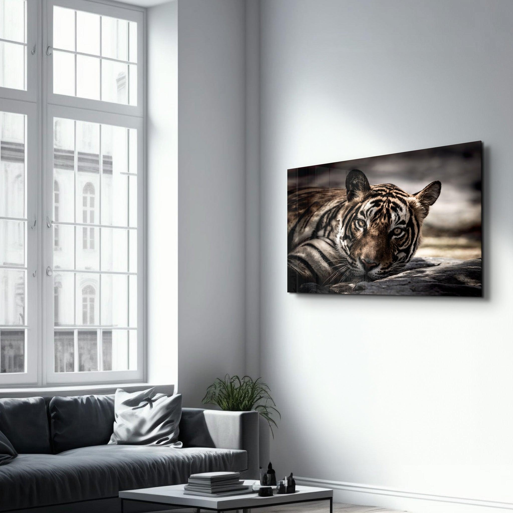 Tired Tiger | Glass Wall Art - Artdesigna