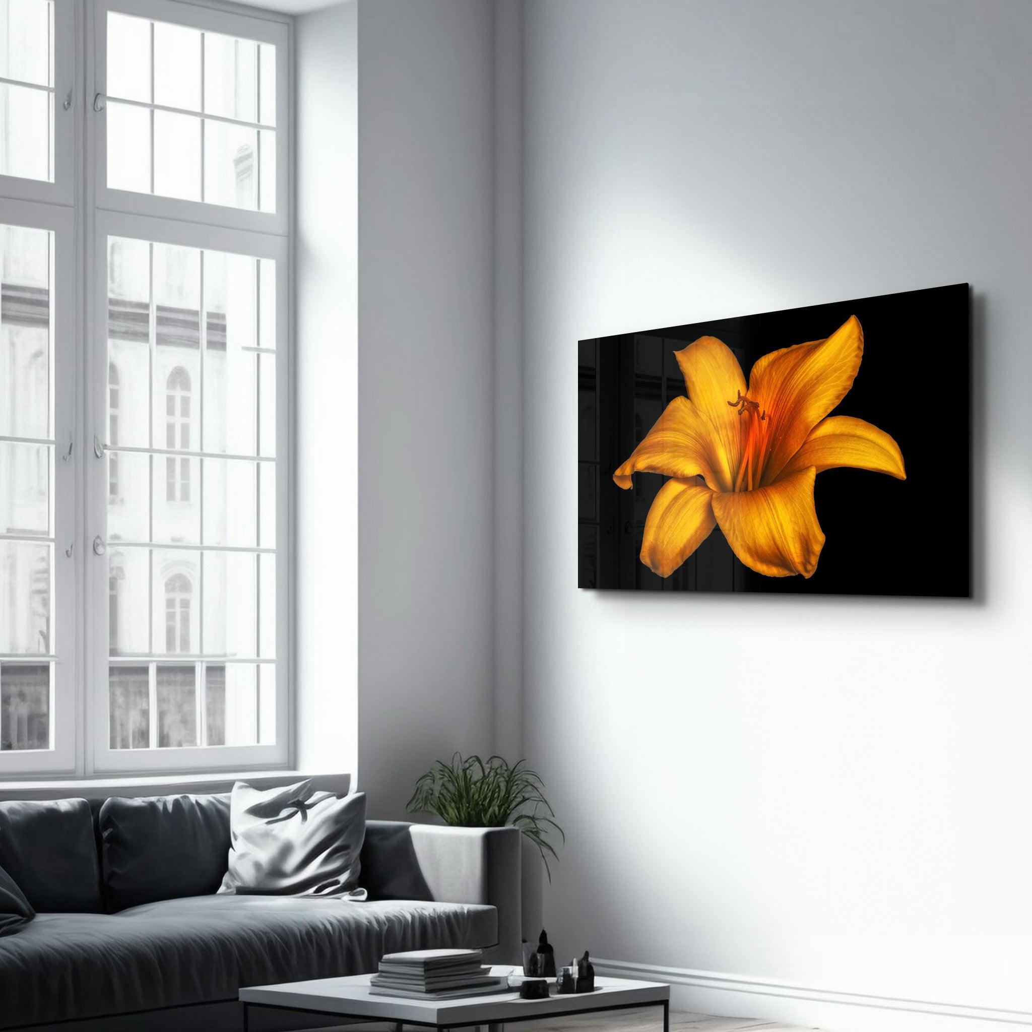 Orange Lily | Glass Wall Art - Artdesigna