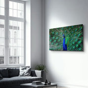 The Peacock | Glass Wall Art - Artdesigna