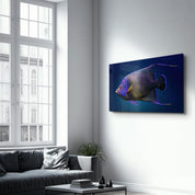 Exotic Fish | GLASS WALL ART - ArtDesigna Glass Printing Wall Art