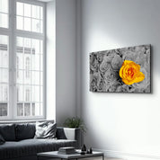 Yellow Rose | Glass Wall Art - Artdesigna