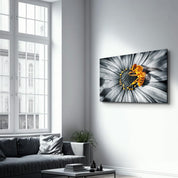 Honey Bee | Glass Wall Art - Artdesigna