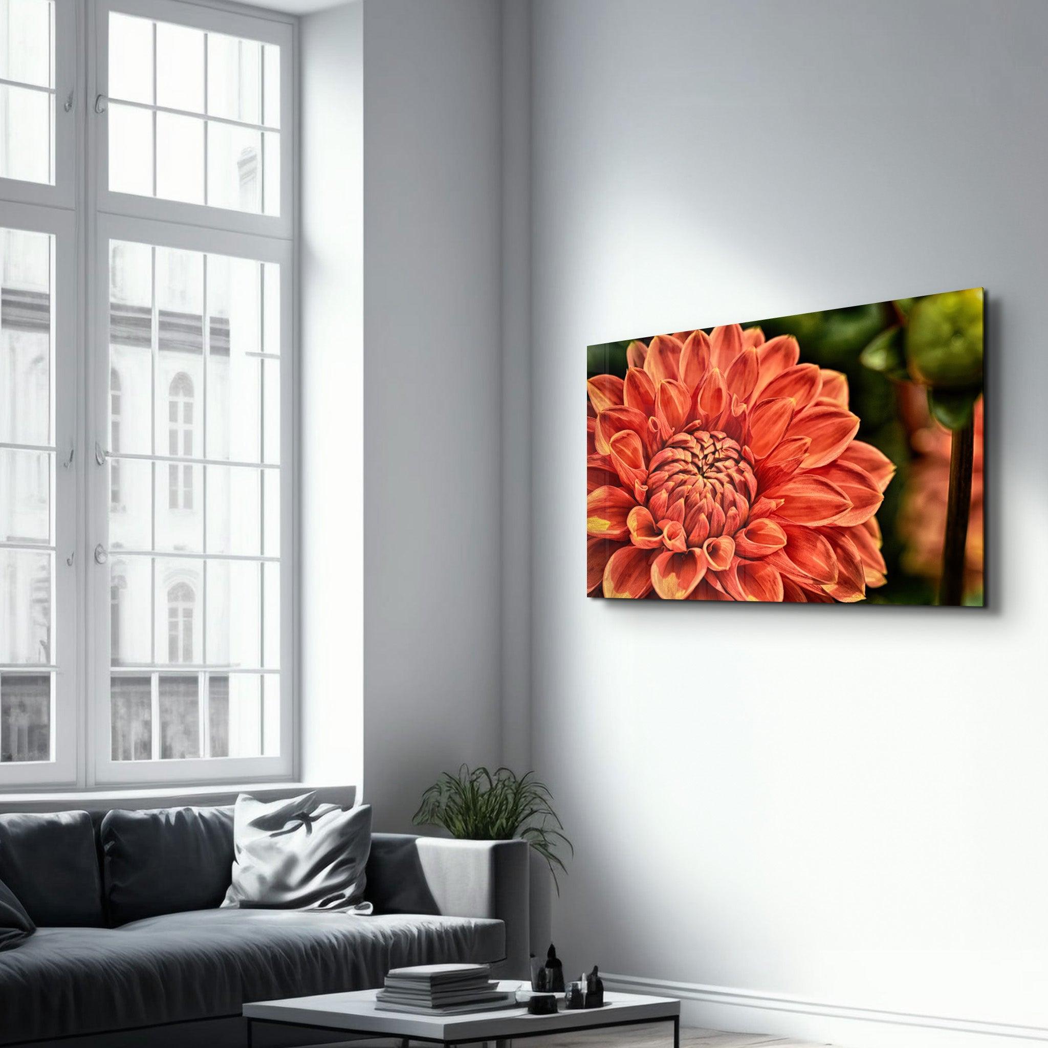 Orange Gerbera | Glass Wall Art - Artdesigna