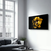 Yellow Rose 2 | Glass Wall Art - Artdesigna