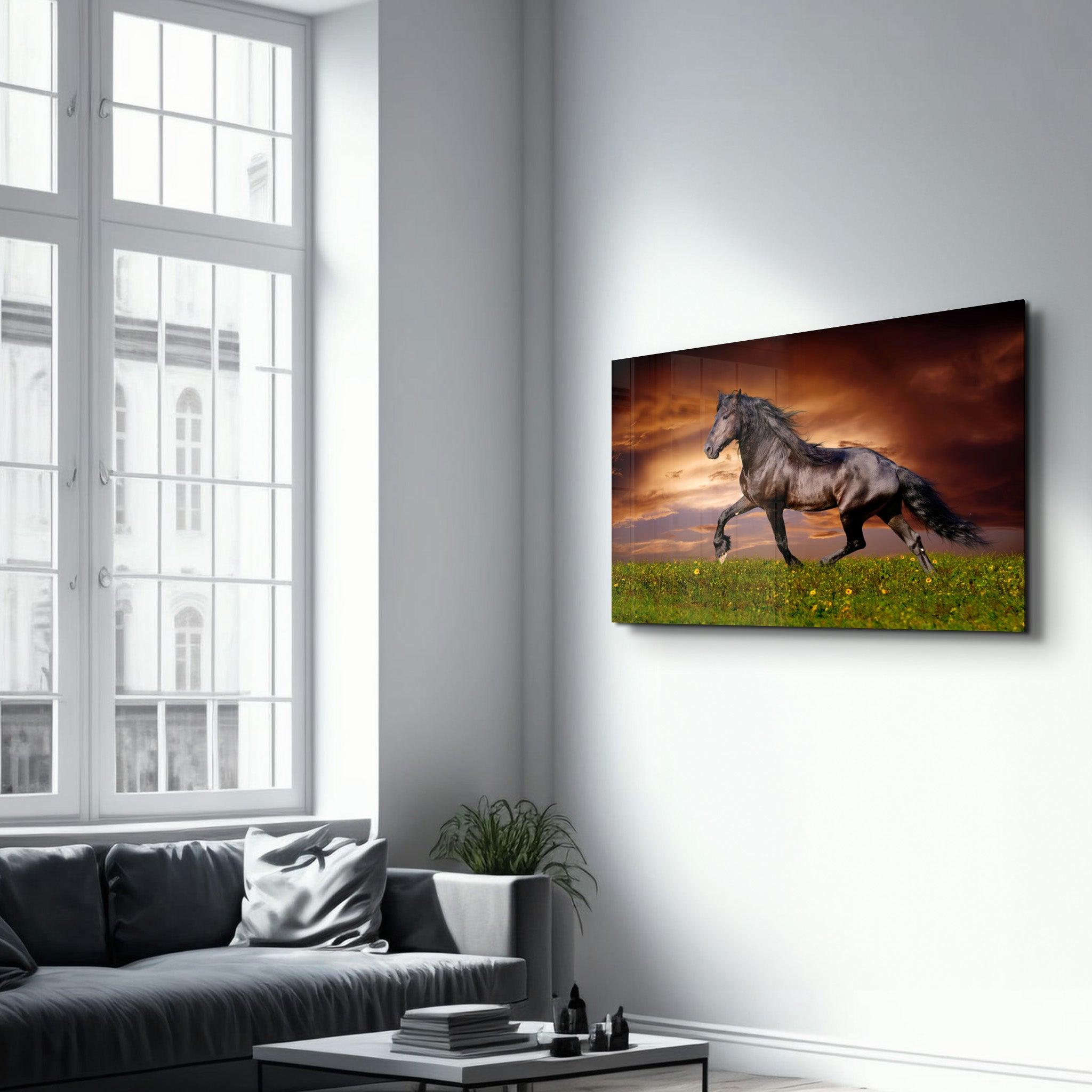 Horse in the Wind | Glass Wall Art - Artdesigna