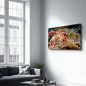 Fishes on Corals | Glass Wall Art - Artdesigna