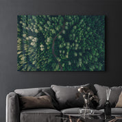 Divided Forest | Glass Wall Art - Artdesigna