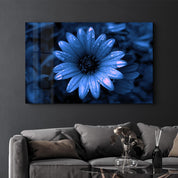 Blue Daisy | Glass Wall Art - Artdesigna