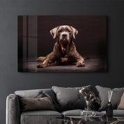 Dog | Glass Wall Art - Artdesigna