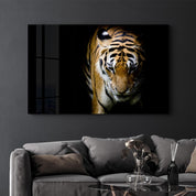 Tiger 3 | Glass Wall Art - Artdesigna