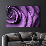 Purple Rose | Glass Wall Art - Artdesigna