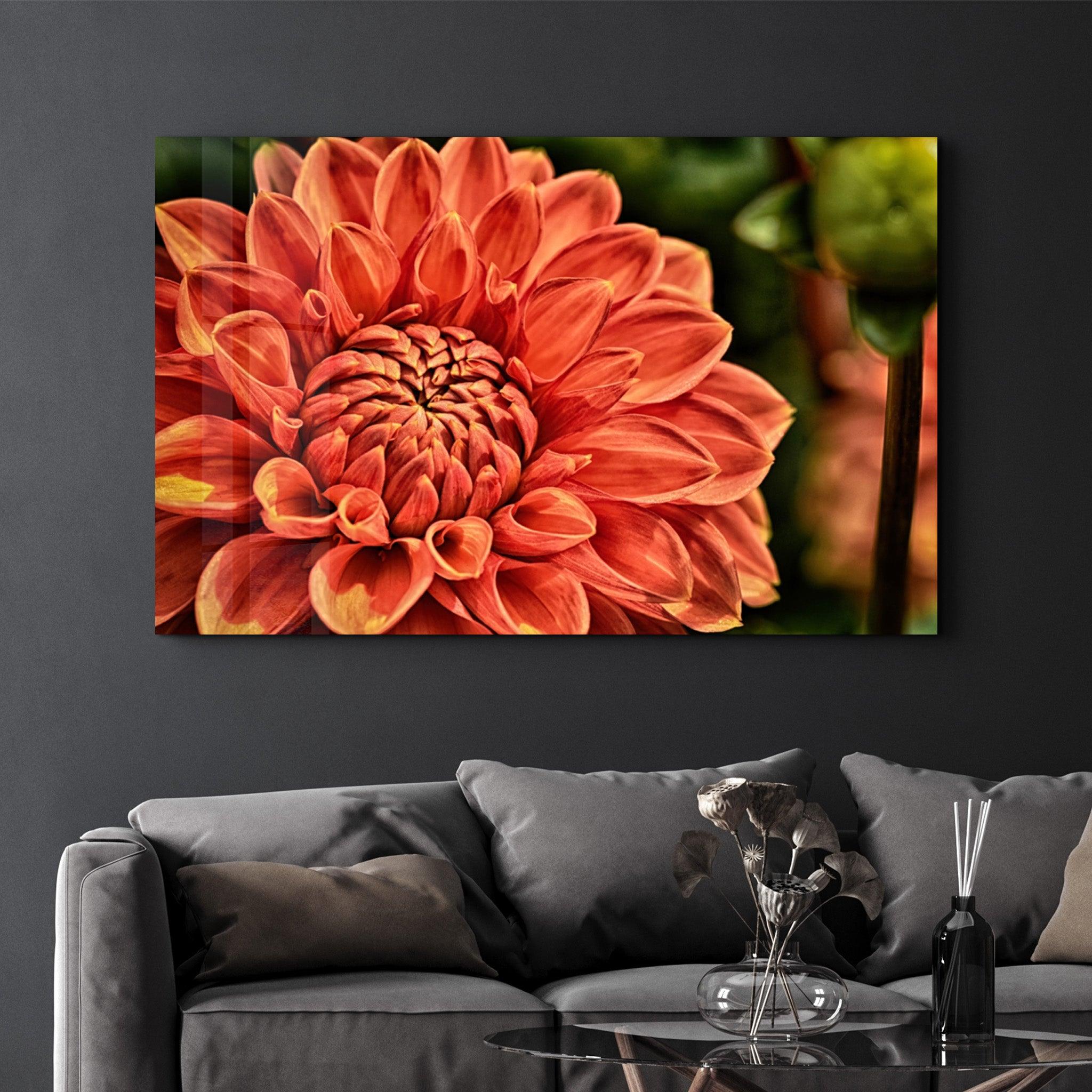 Orange Gerbera | Glass Wall Art - Artdesigna