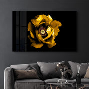 Yellow Rose 2 | Glass Wall Art - Artdesigna