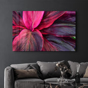 Pink Leaves | Glass Wall Art - Artdesigna