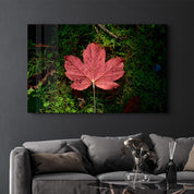 Plane Leaf | Glass Wall Art - Artdesigna