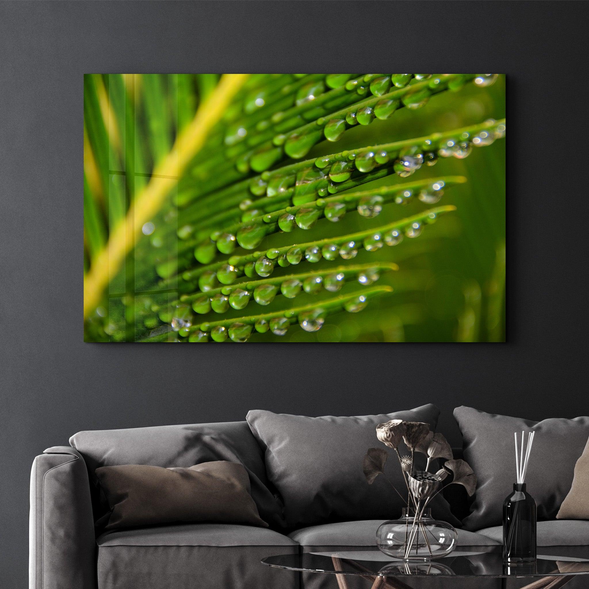 Green Leaves with Water Drops | Glass Wall Art - Artdesigna