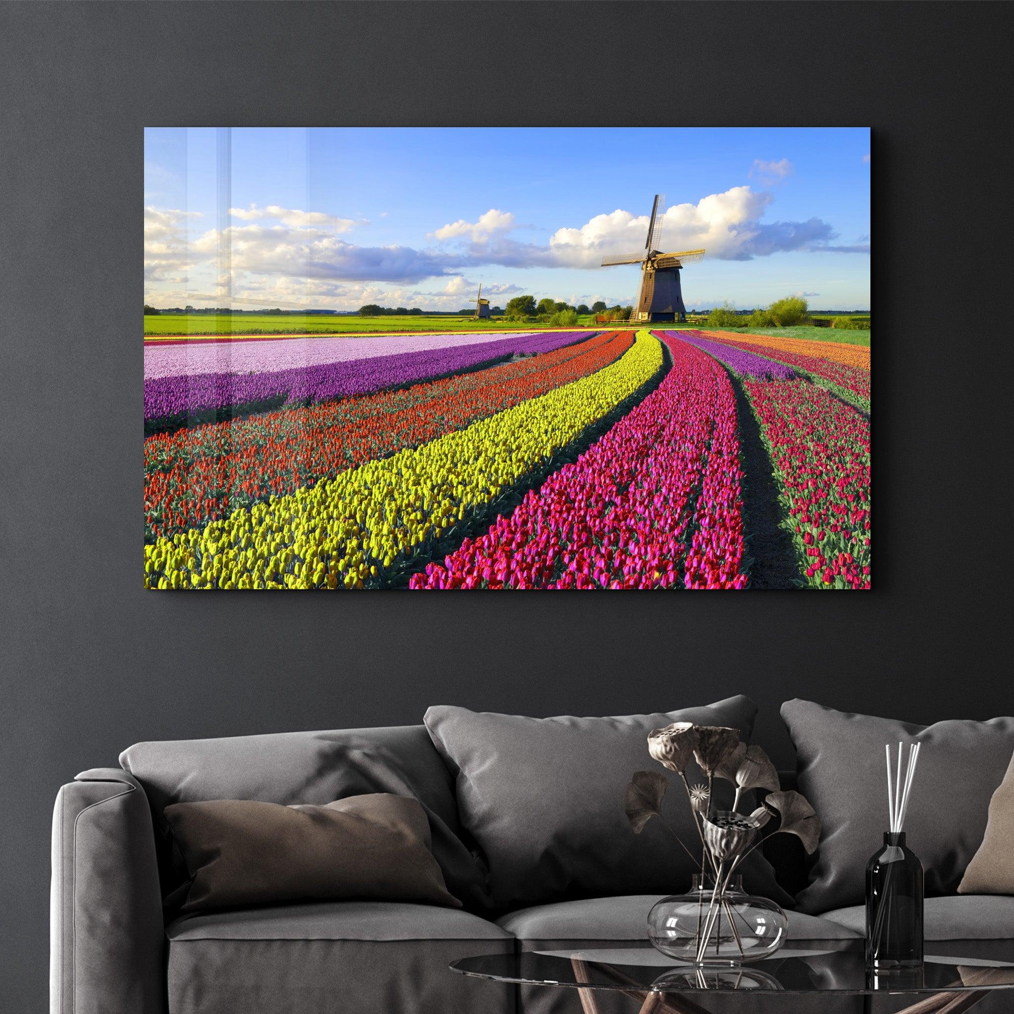 Tulips Of Amsterdam | Glass Wall Art - Artdesigna