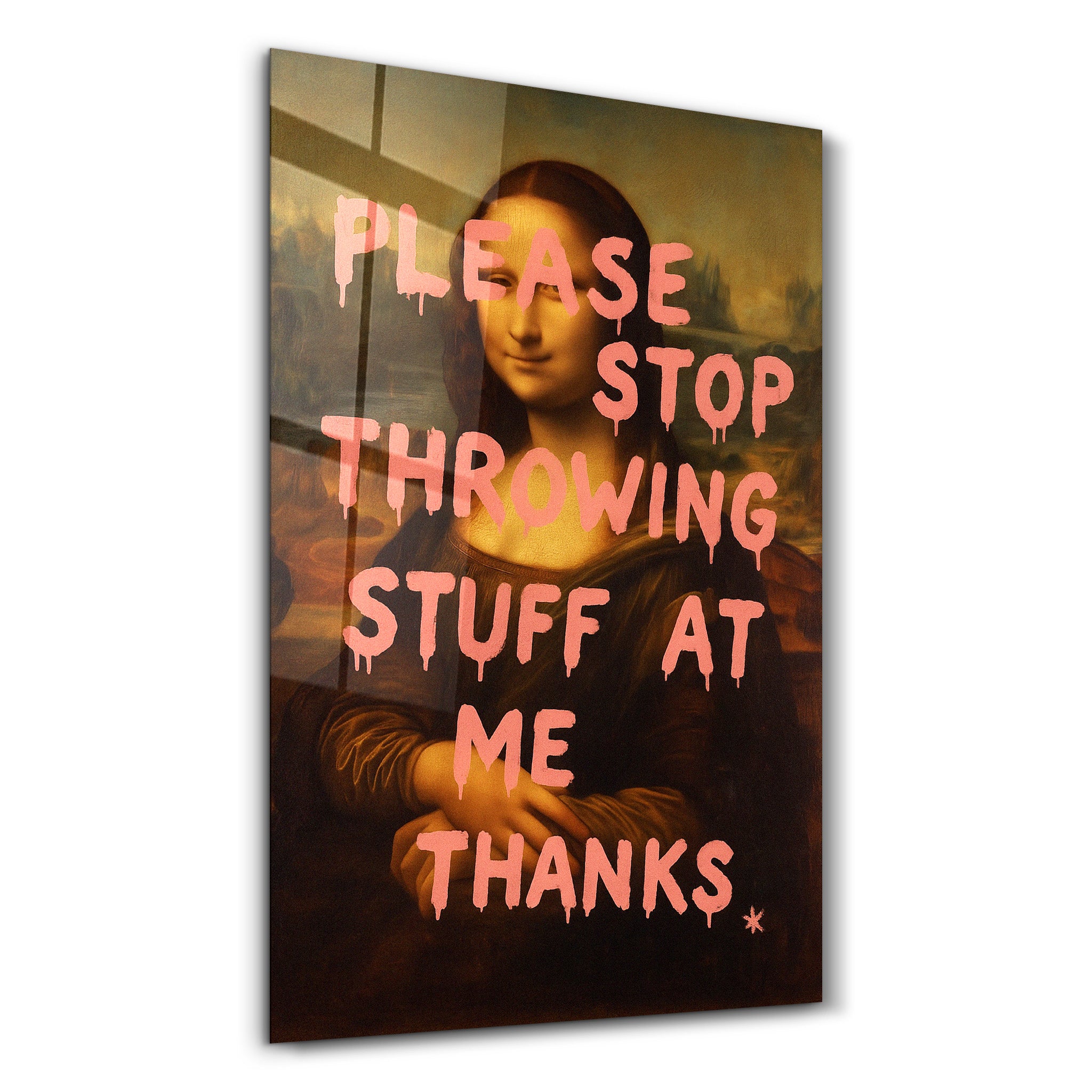 artdesigna-glass-wall-art-s-16-x10-please-stop-throwing-stuff-at-me-mona-sass-glass-wall-art-65278575739261.jpg