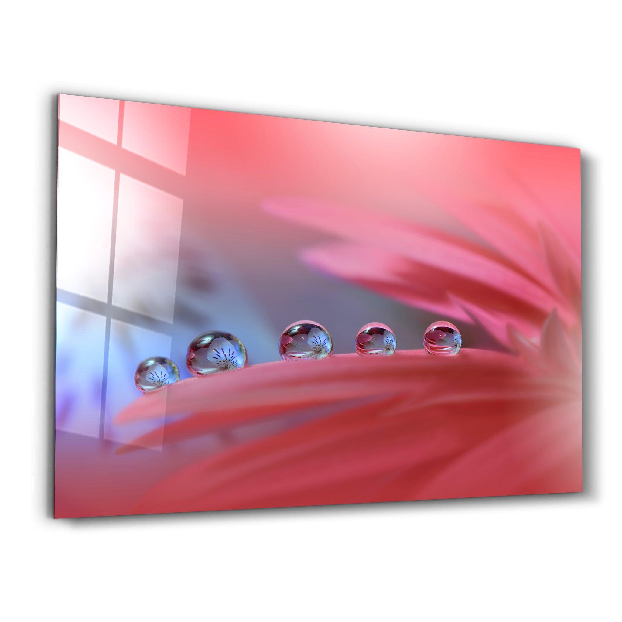 Delicate Dewdrops | Glass Wall Art - Artdesigna