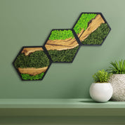 Honeycomb Moss & Olive Tree | Premium Handmade Wall Sculptures