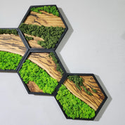 Honeycomb Moss & Olive Tree | Premium Handmade Wall Sculptures