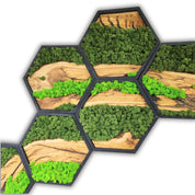 Honeycomb Moss & Olive Tree | Premium Handmade Wall Sculptures