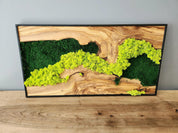 Handmade Moss & Olive Tree Wood Wall Art Rectangular | Preimum Wall Sculptures - Artdesigna