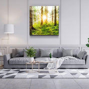 ・"Forest"・Glass Wall Art - ArtDesigna Glass Printing Wall Art