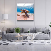・"Sea Turtle"・Glass Wall Art - ArtDesigna Glass Printing Wall Art