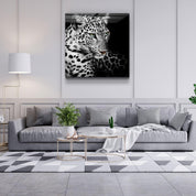 Regal Prowl: The Leopard’s Watch | Glass Wall Art - Artdesigna