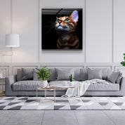 ・"Kitten"・Glass Wall Art - ArtDesigna Glass Printing Wall Art