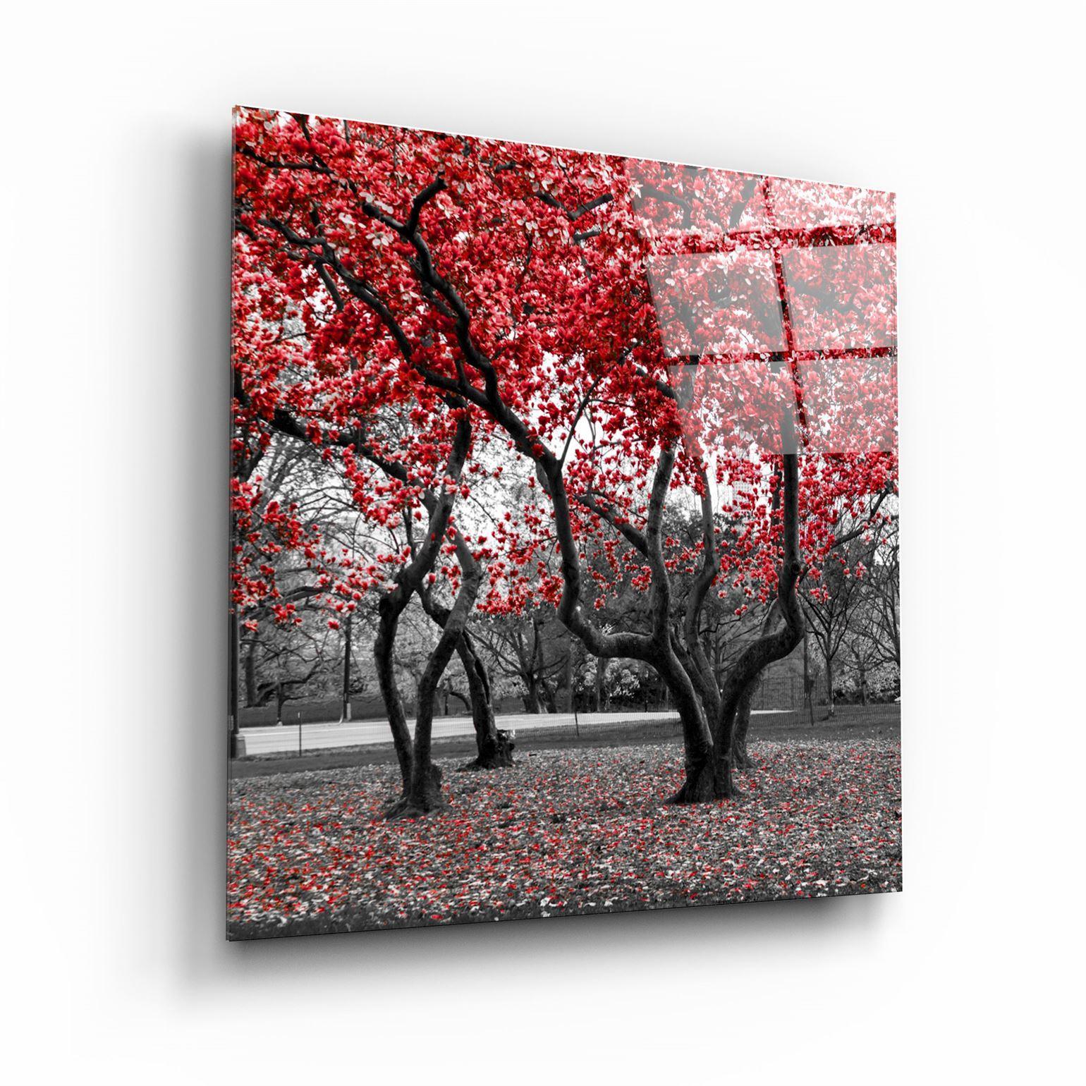 ・"Red Tree"・Glass Wall Art - ArtDesigna Glass Printing Wall Art