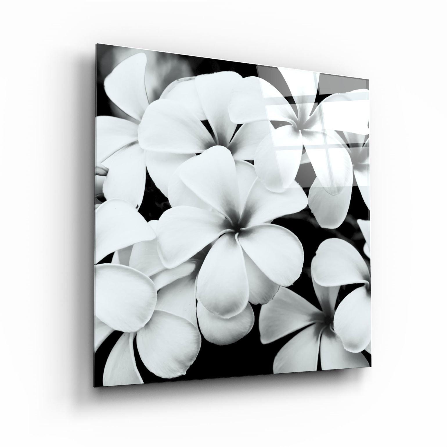 ・"Black and White Flowers"・Glass Wall Art - ArtDesigna Glass Printing Wall Art