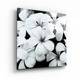 Black and White Flowers | Glass Wall Art