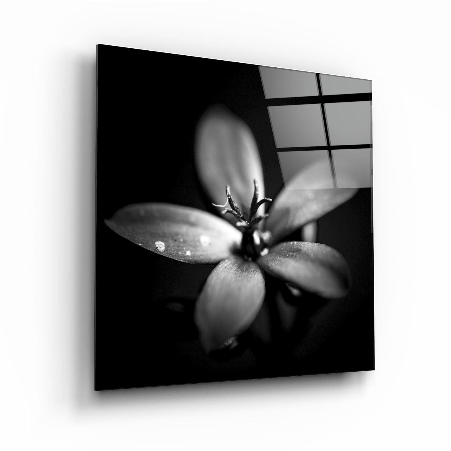 ・"Flower"・Glass Wall Art - ArtDesigna Glass Printing Wall Art