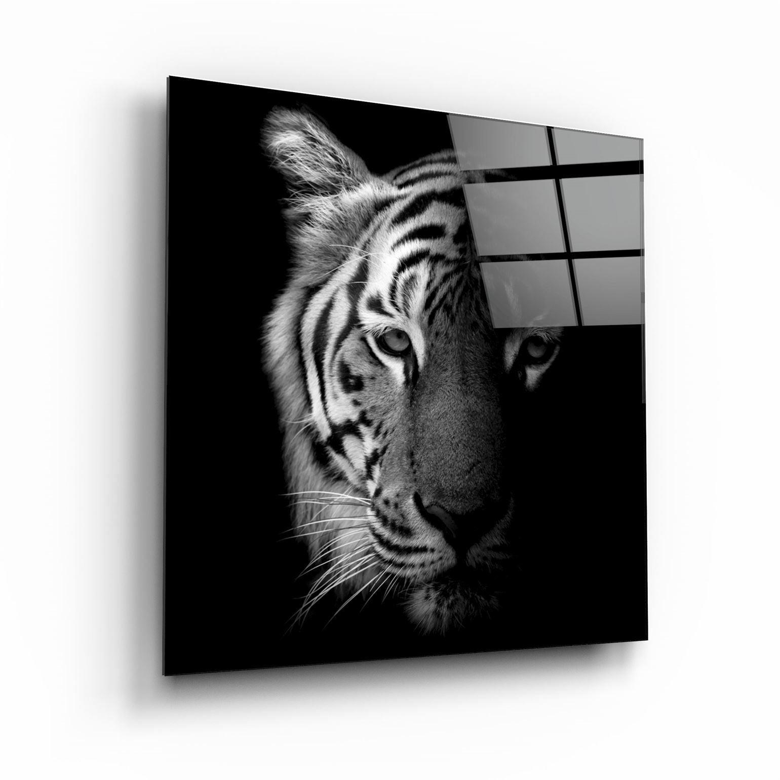 Tiger Black and White | Glass Wall Art - Artdesigna
