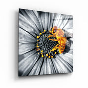 ・"Bee"・Glass Wall Art - ArtDesigna Glass Printing Wall Art