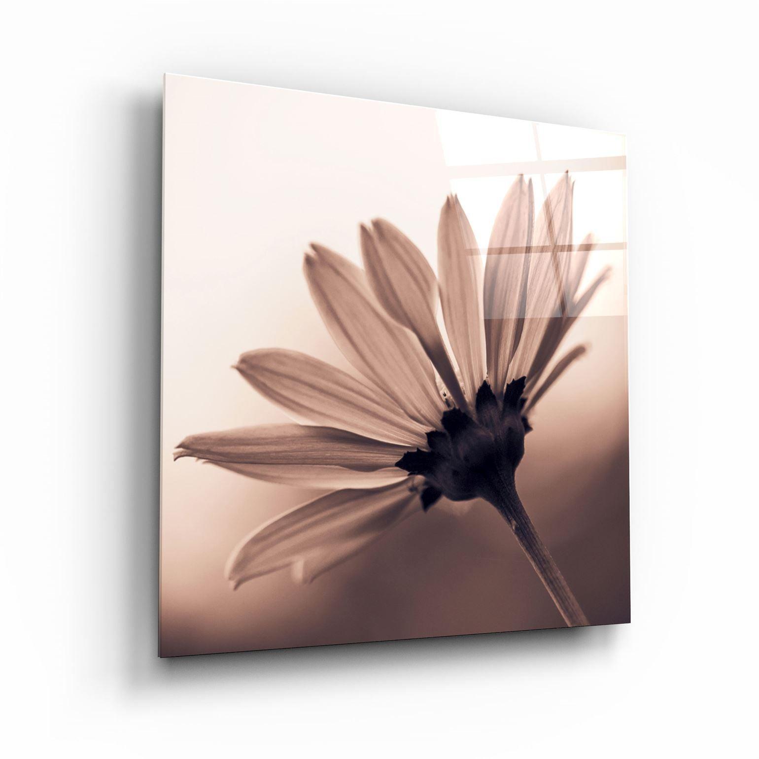 ・"Flower"・Glass Wall Art - ArtDesigna Glass Printing Wall Art