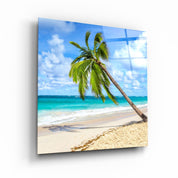 ・"Palm Tree"・Glass Wall Art - ArtDesigna Glass Printing Wall Art