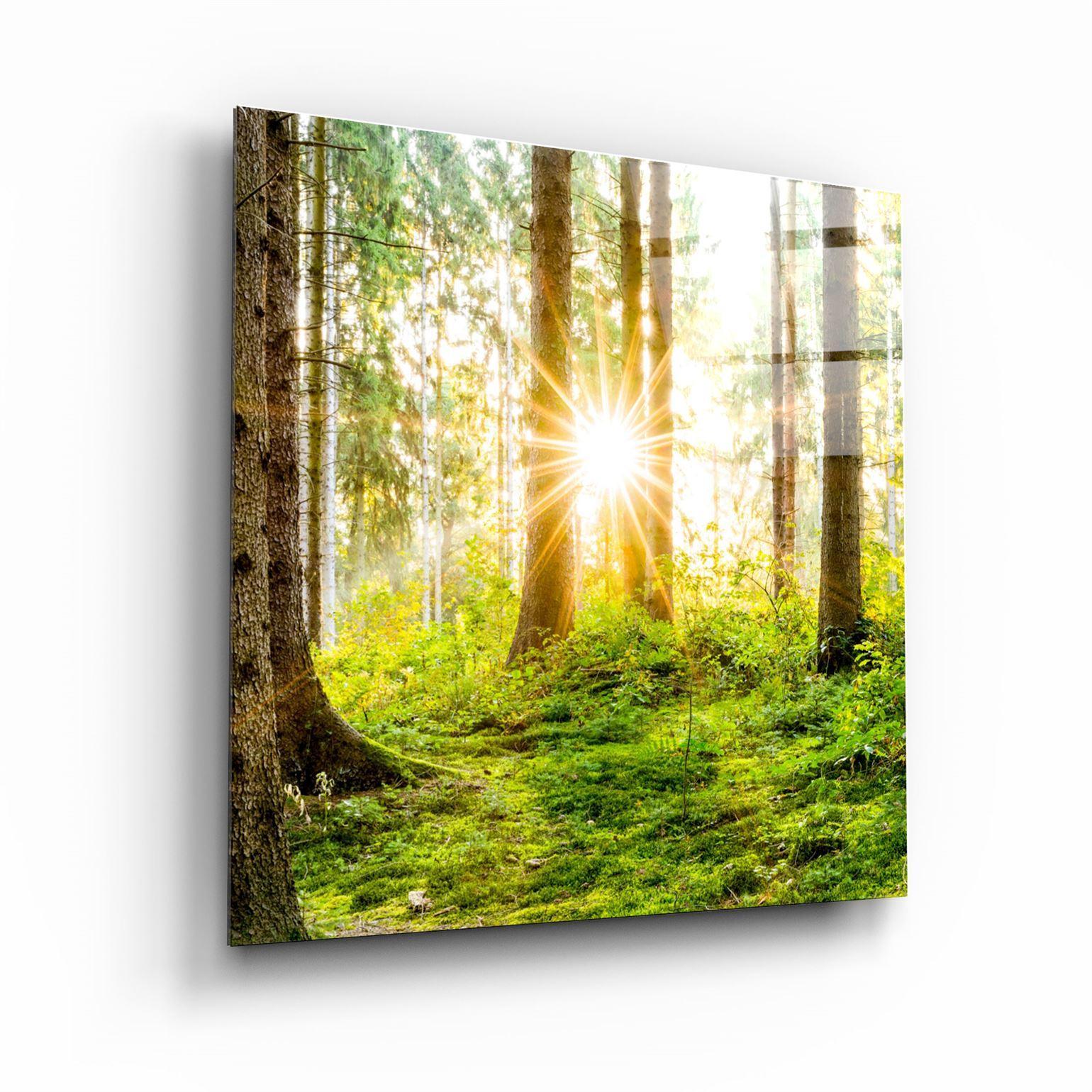 ・"Forest"・Glass Wall Art - ArtDesigna Glass Printing Wall Art