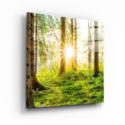 ・"Forest"・Glass Wall Art - ArtDesigna Glass Printing Wall Art