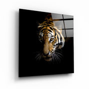King of the Jungle | Glass Wall Art - Artdesigna