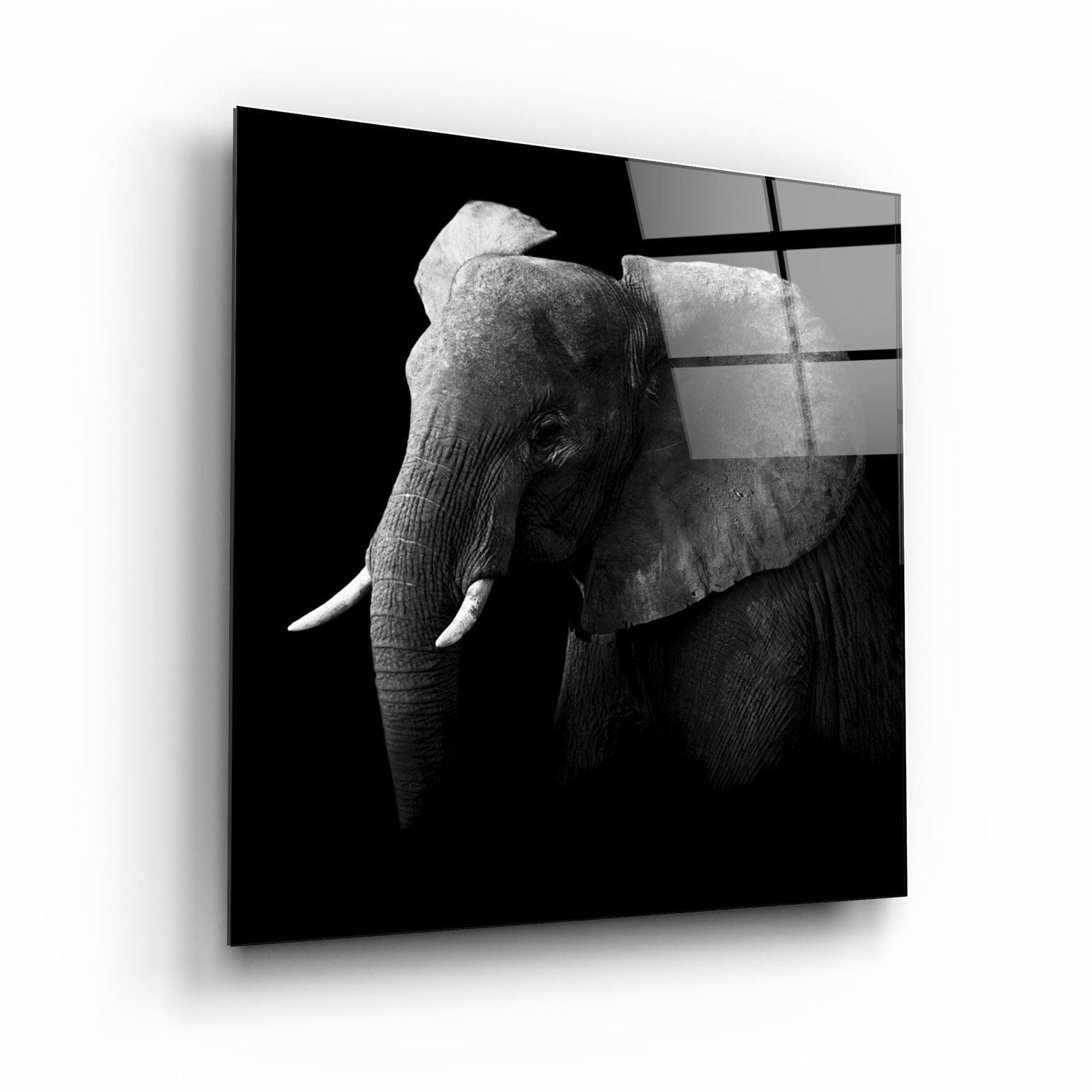 ・"Elephant"・Glass Wall Art - ArtDesigna Glass Printing Wall Art