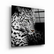 Regal Prowl: The Leopard’s Watch | Glass Wall Art - Artdesigna