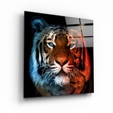 Fierce Beauty | Glass Wall Art