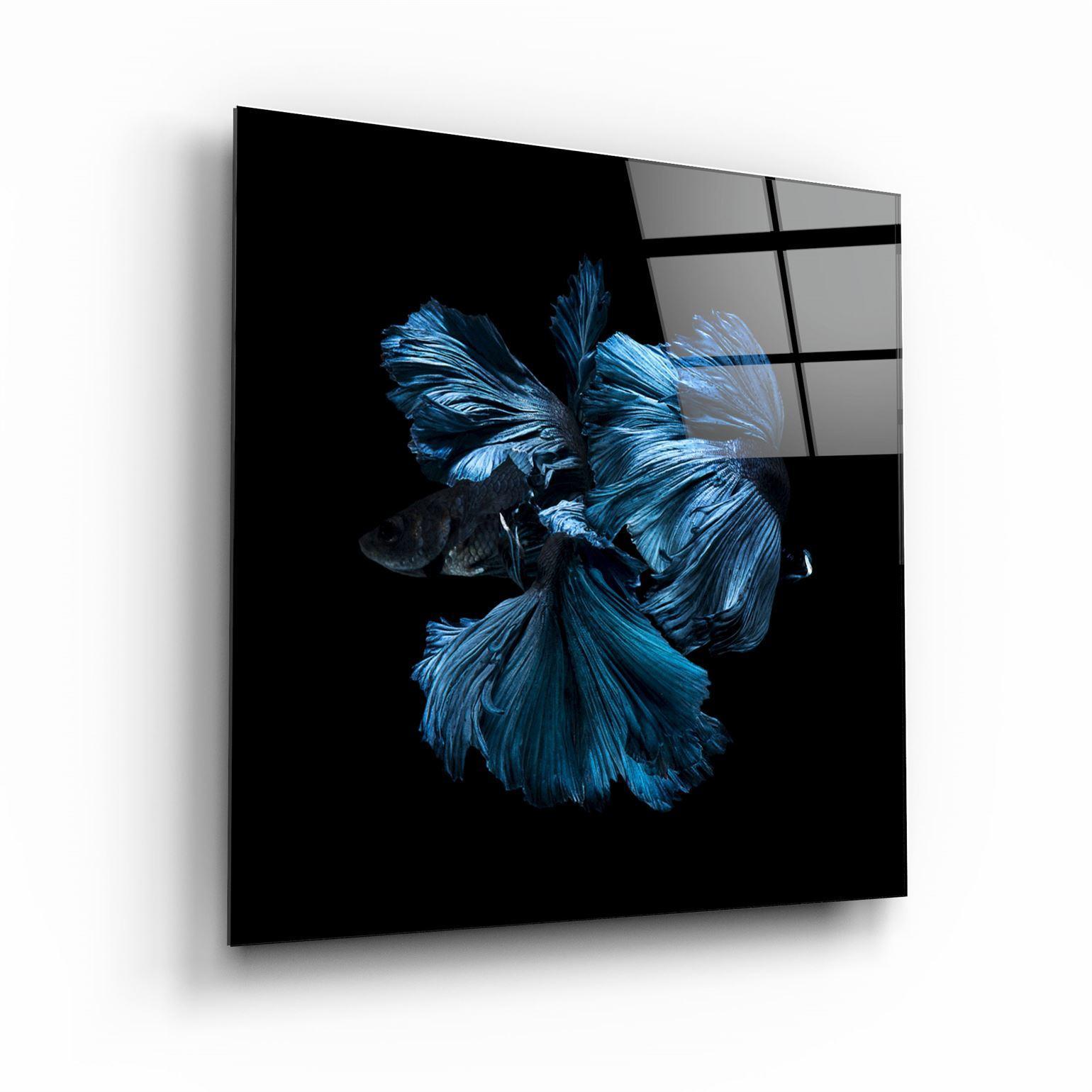 ・"Betta Fish"・Glass Wall Art - ArtDesigna Glass Printing Wall Art