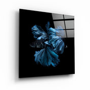 ・"Betta Fish"・Glass Wall Art - ArtDesigna Glass Printing Wall Art